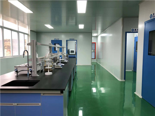贵州实验室环氧自流坪洁净走廊